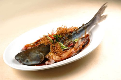 Fish 海鲜鱼类